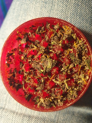 Growreport Bild 11