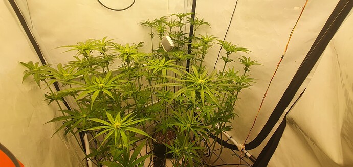 Growreport Bild 1