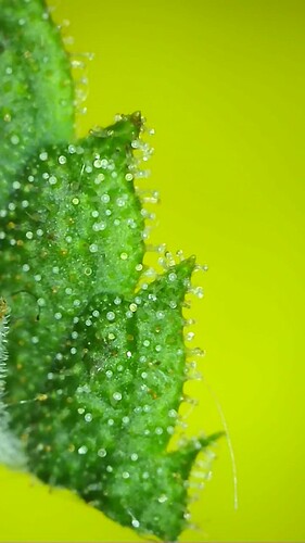 2022_03_31_16_39_19_349