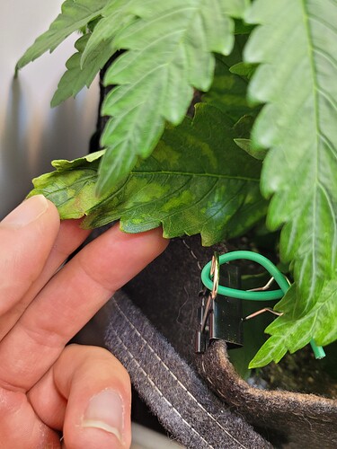 Growreport Bild 7