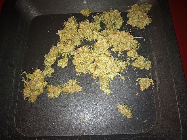 Growreport Bild 2