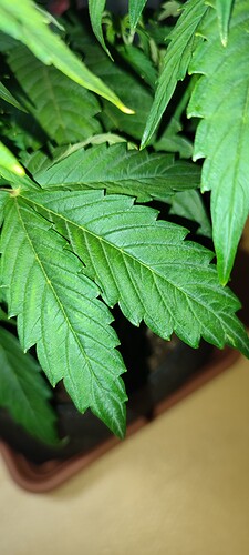 IMG_20221110_205125
