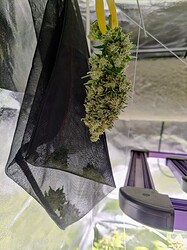 IMG_20220822_012850