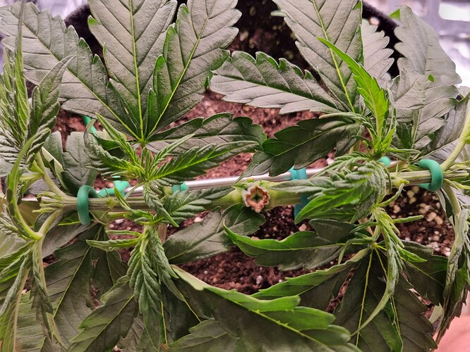 Growreport Bild 14