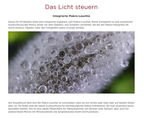 Growreport Bild 7