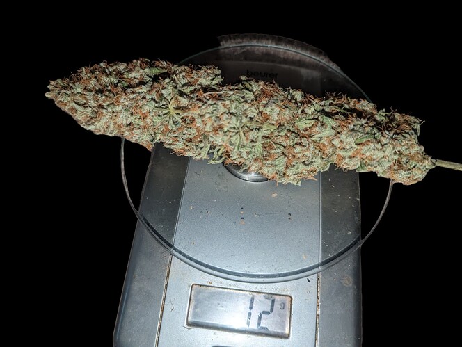 Growreport Bild 20