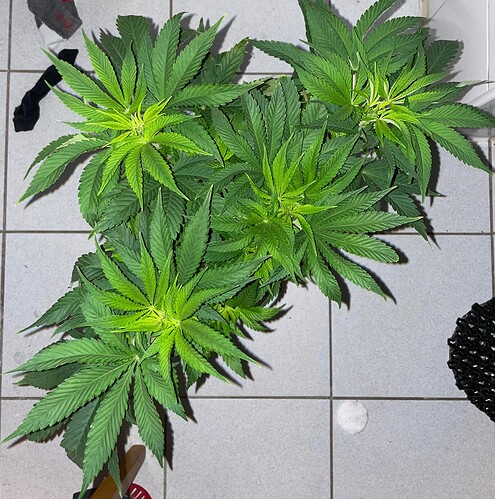 Growreport Bild 14