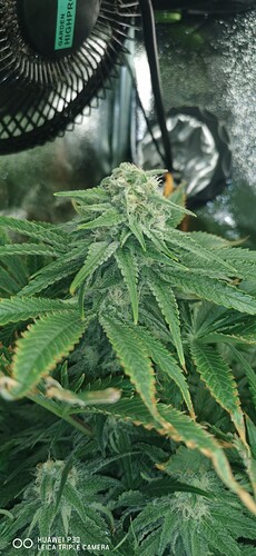 Growreport Bild 12
