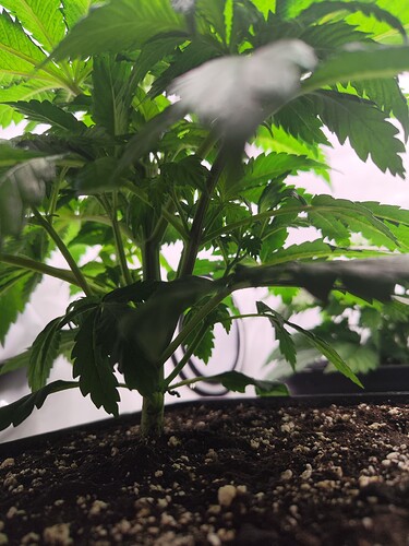 Growreport Bild 12