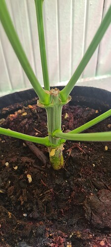 Growreport Bild 4