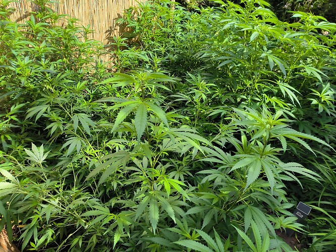 Growreport Bild 18