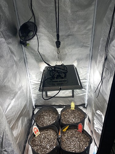 Growreport Bild 9