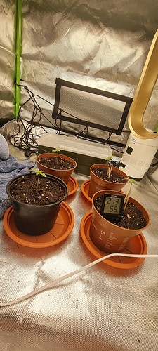 Growreport Bild 10