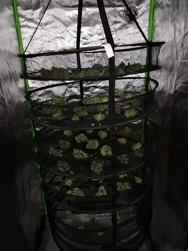 Growreport Bild 22