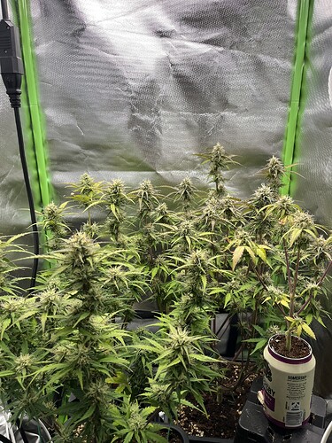 Growreport Bild 2