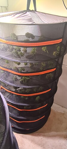 Growreport Bild 5