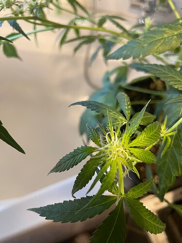 Growreport Bild 8