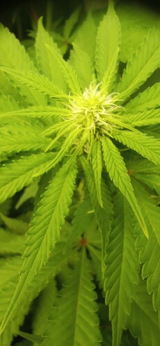 IMG_20240106_113935_1