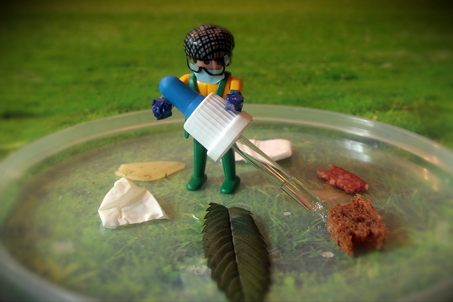 Growreport Bild 4