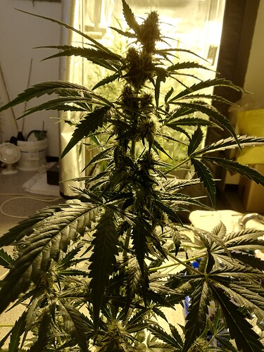Growreport Bild 11