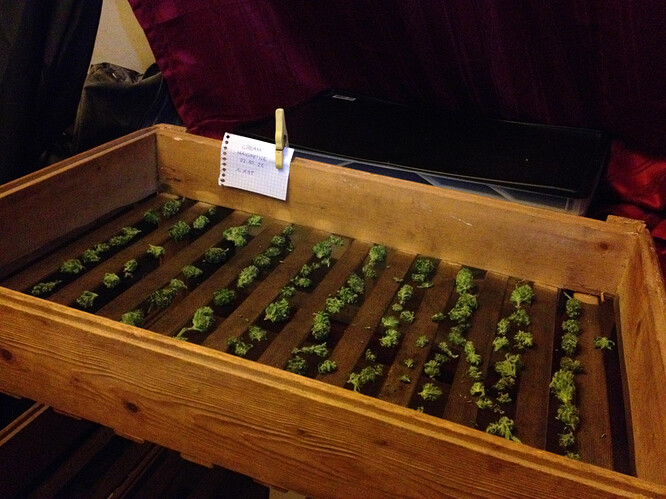 Growreport Bild 22