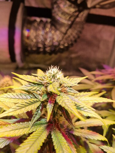 Growreport Bild 19