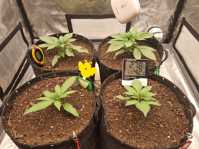 Growreport Bild 12