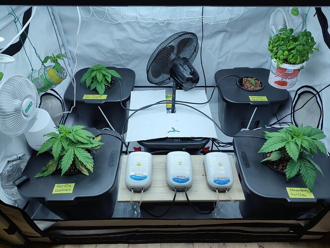 Growreport Bild 55