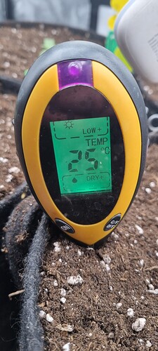 Growreport Bild 7