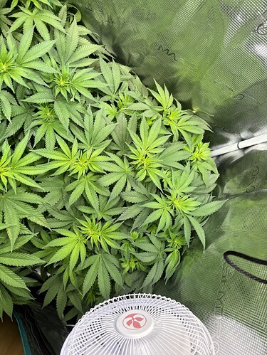 Growreport Bild 4