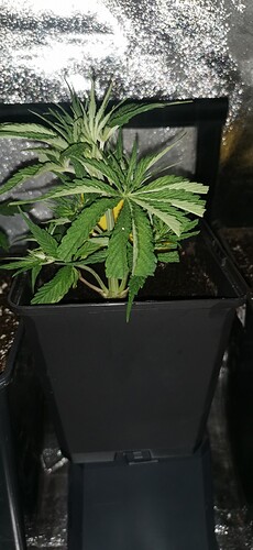 Growreport Bild 14