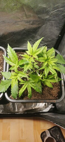 Growreport Bild 10