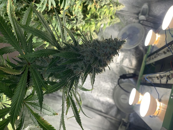 Growreport Bild 2