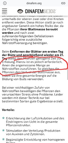Growreport Bild 4