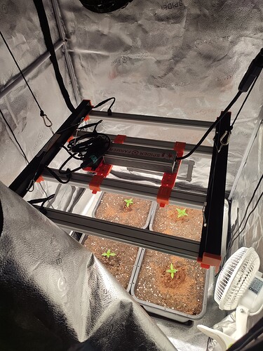 Growreport Bild 1