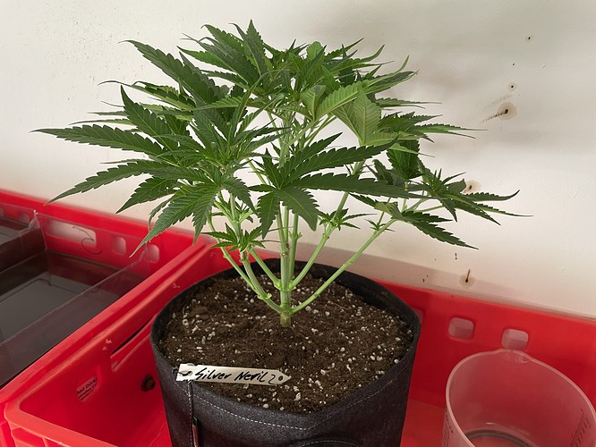 Growreport Bild 6