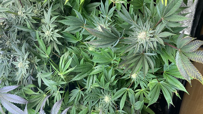 Growreport Bild 11