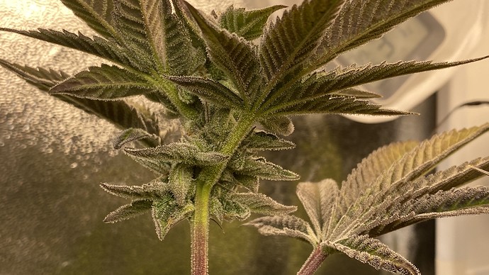 Growreport Bild 20