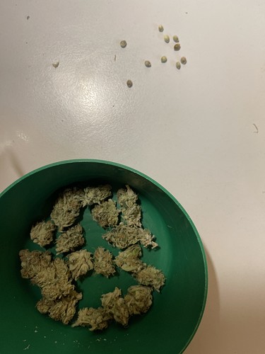 Growreport Bild 30