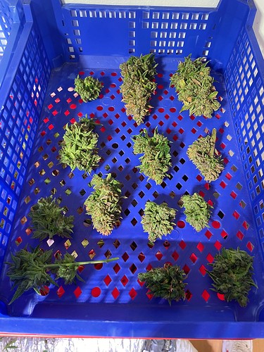 Growreport Bild 5