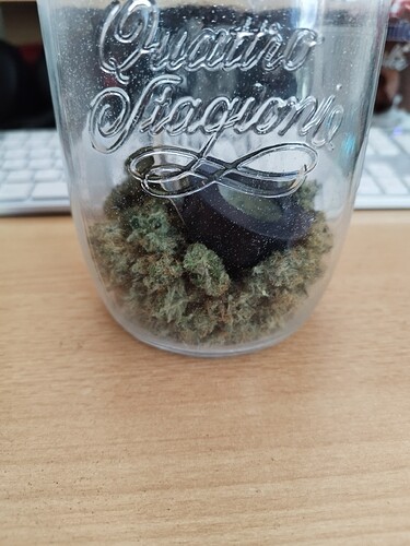 Growreport Bild 12