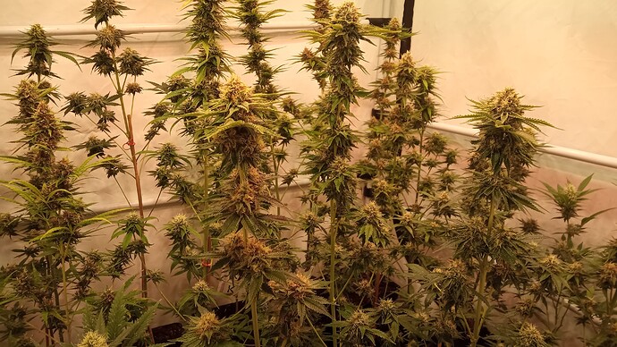 Growreport Bild 10