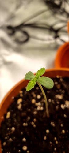 Growreport Bild 9