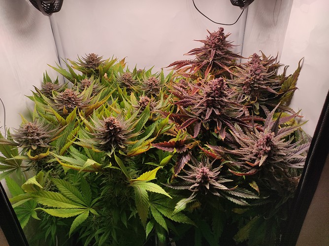 Growreport Bild 18