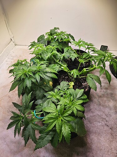 Growreport Bild 7