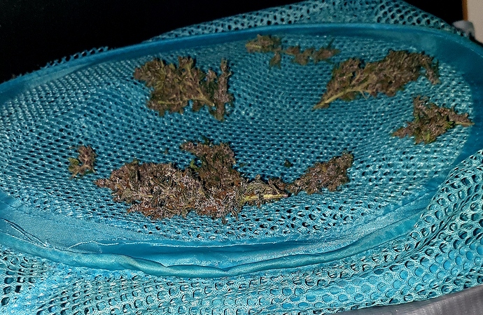 Growreport Bild 6