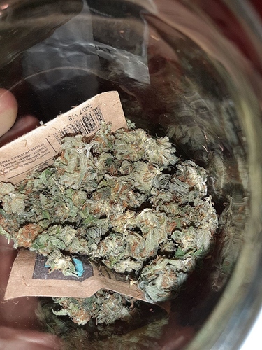 Growreport Bild 6