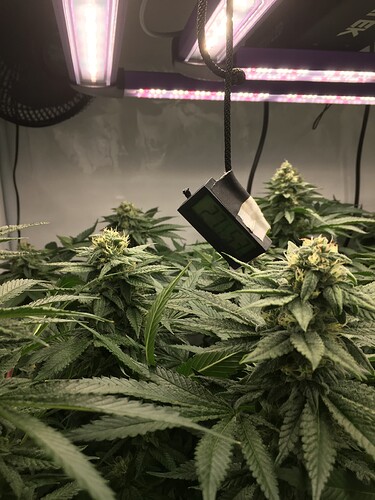 Growreport Bild 13