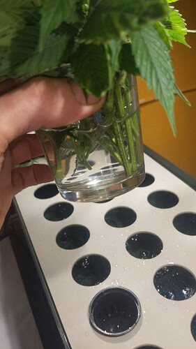 signal-2024-02-02-192357_006