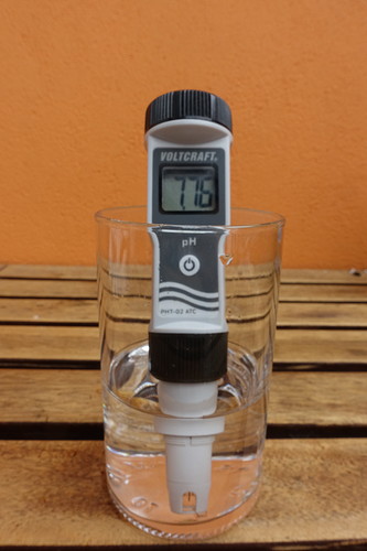 Growreport Bild 39
